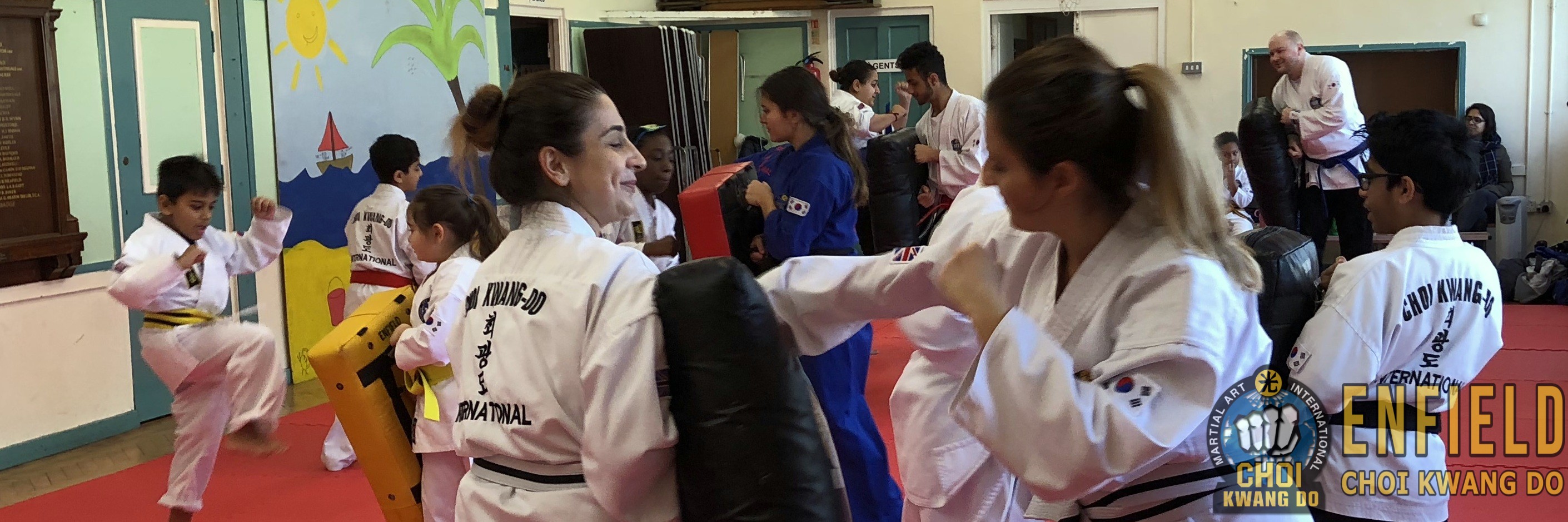 Enfield Choi Kwang Do The Modern Martial Art