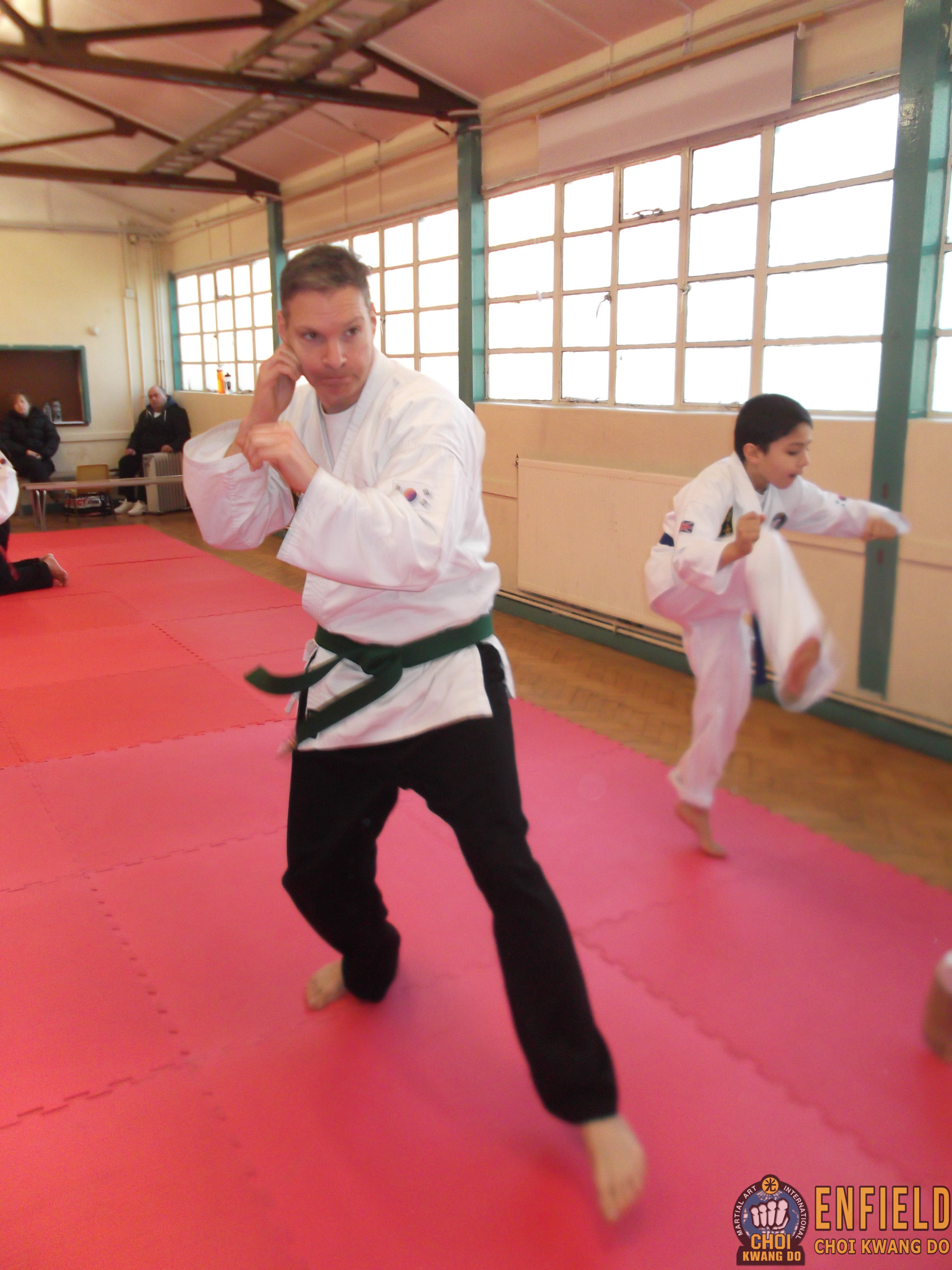 Jan 2017 The Modern Martial Art